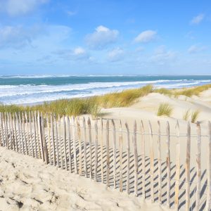 Ganivelle en châtaignier près d'une plage
