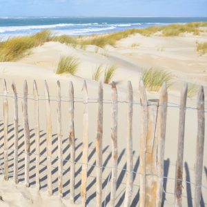 Piquet bois rond près d'une plage