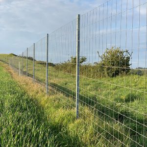 Zoom sur une clôture grillage soudé lourd