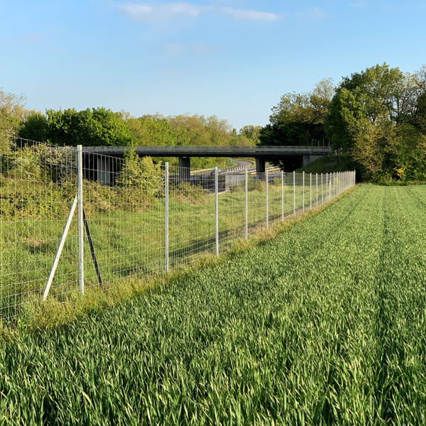 Portillon Grillagé A Piles Rondes Eco - Grillages Brossard