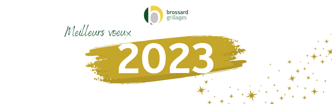 Meilleurs vœux 2023