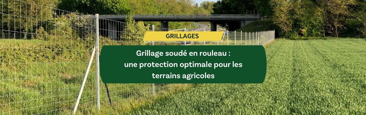 Grillage soudé en rouleau : une protection optimale pour les terrains agricoles