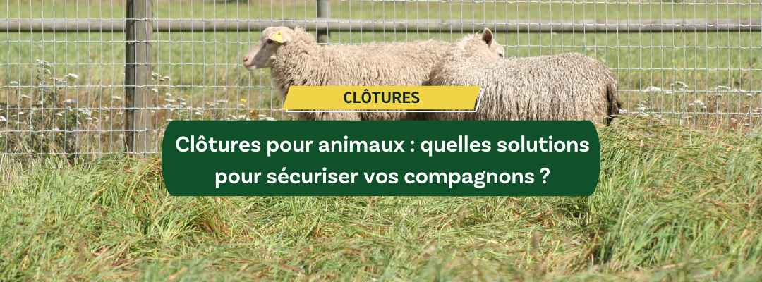 Clôtures pour animaux : quelles solutions pour sécuriser vos compagnons ?