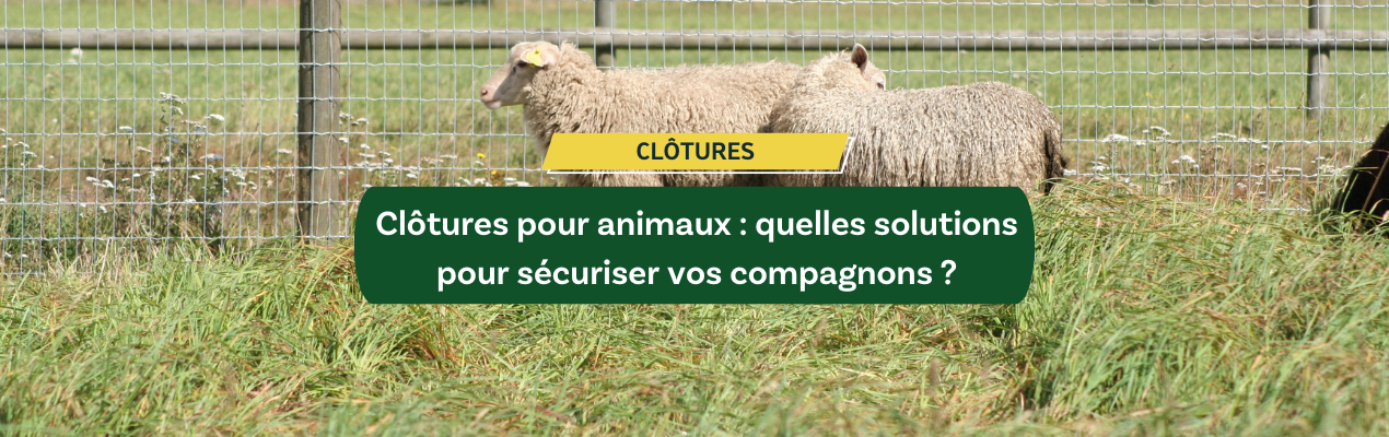 Clôtures pour animaux : quelles solutions pour sécuriser vos compagnons ?