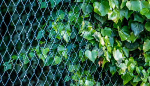 cloture de jardin :grillage simple torsion