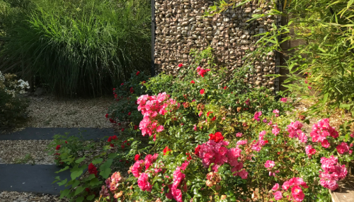 clôture de jardin panneau rigide Zenturo